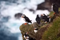 Khám phá quần đảo Faroe với những vách đá khổng lồ giữa đại dương