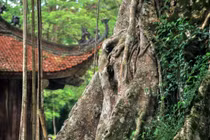 Lam Kinh- nơi giao thoa giữa lịch sử và huyền thoại