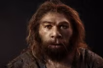 Não người Neanderthal lớn hơn chúng ta: Họ thông minh đến đâu? 