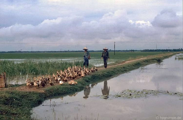 Loat anh de doi ve ngoai thanh Ha Noi nam 1991-Hinh-11