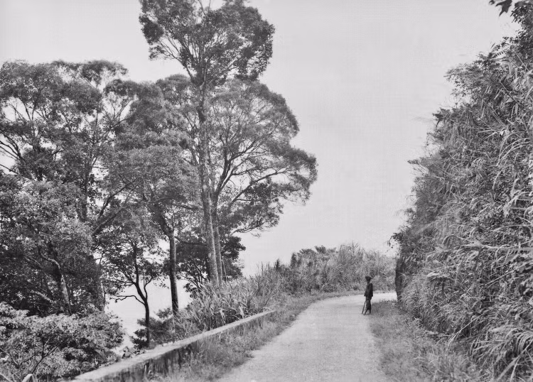 Loat anh vo gia ve khu nghi mat Tam Dao thap nien 1920