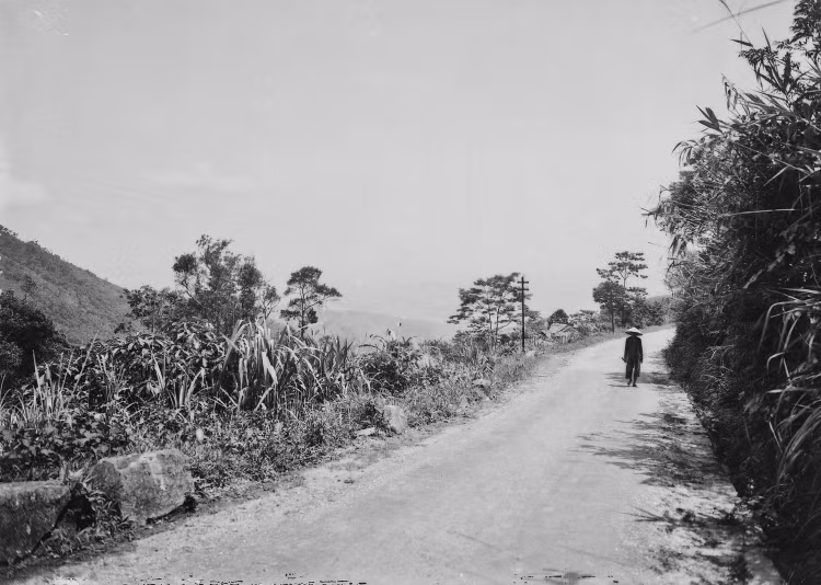 Loat anh vo gia ve khu nghi mat Tam Dao thap nien 1920-Hinh-14