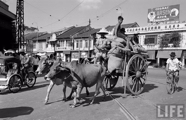 Loat anh sac net ve cuoc song o Cho Lon nam 1950-Hinh-3