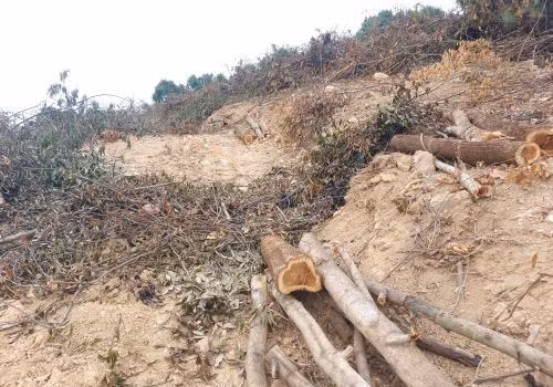 Nghệ An: Cán bộ bảo vệ rừng bị “lâm tặc” đánh nhập viện ảnh 1 Nghệ An: Cán bộ bảo vệ rừng bị “lâm tặc” đánh nhập viện ảnh 1