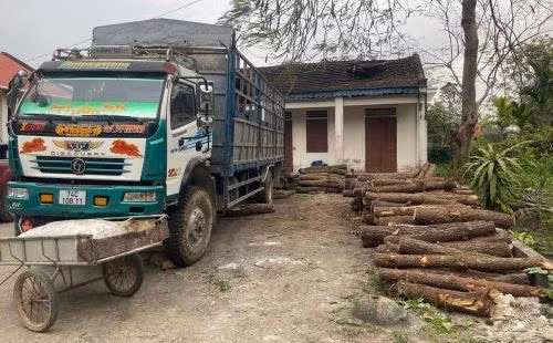 Nghệ An: Cán bộ bảo vệ rừng bị “lâm tặc” đánh nhập viện ảnh 2 Nghệ An: Cán bộ bảo vệ rừng bị “lâm tặc” đánh nhập viện ảnh 2