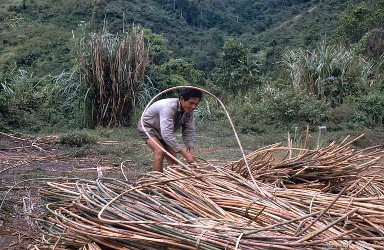 Loạt ảnh đặc biệt về đường Hồ Chí Minh năm 1992 - Hình 5 Loat anh dac biet ve duong Ho Chi Minh nam 1992-Hinh-5