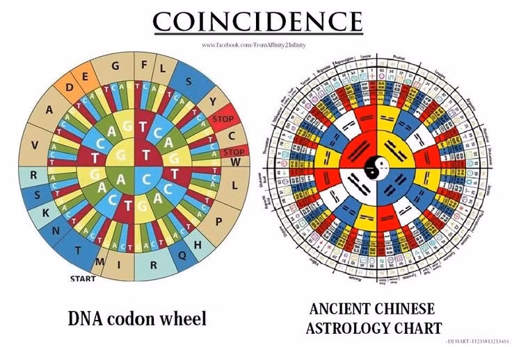 Giải mã cuốn sách huyền bí, khó hiểu nhất Trung Hoa cổ - Hình 13 Giai ma cuon sach huyen bi, kho hieu nhat Trung Hoa co-Hinh-13