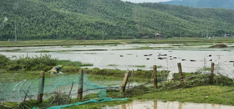 Khu đất được quy hoạch đưa vật chất lên bờ làm nền móng cho các dự án điện mới.