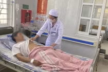 Nhiều người nhập viện cấp cứu do ăn ve sầu ở Quảng Trị