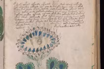 Bản thảo Voynich 600 năm tuổi vẫn chưa có lời giải