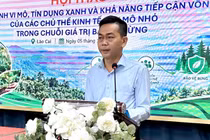 Lào Cai: Thúc đẩy tiếp cận tín dụng xanh trong chuỗi giá trị bảo vệ rừng
