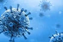 Bộ Y tế yêu cầu siết chặt phòng chống virus bại liệt