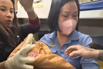 Nghẹt thở ca sinh non trên tàu hỏa đang chạy