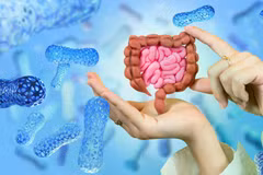 Vi khuẩn probiotic biến thành "máy sản xuất thuốc" chống ung thư