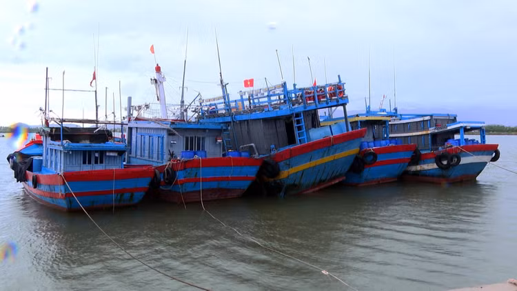 Thủ tướng yêu cầu chủ động ứng phó với bão Trà Mi Thu tuong yeu cau chu dong ung pho voi bao Tra Mi