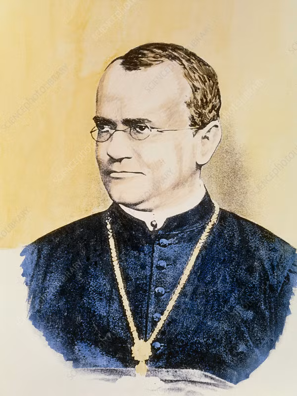 Khai quat hai cot “cha de” nganh di truyen hoc Mendel, bat ngo su that-Hinh-9