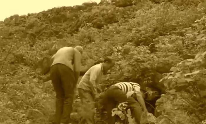 Truy tìm thủ phạm phá hoại ruộng, bất ngờ thấy “bảo vật” vô giá Truy tim thu pham pha hoai ruong, bat ngo thay “bao vat” vo gia