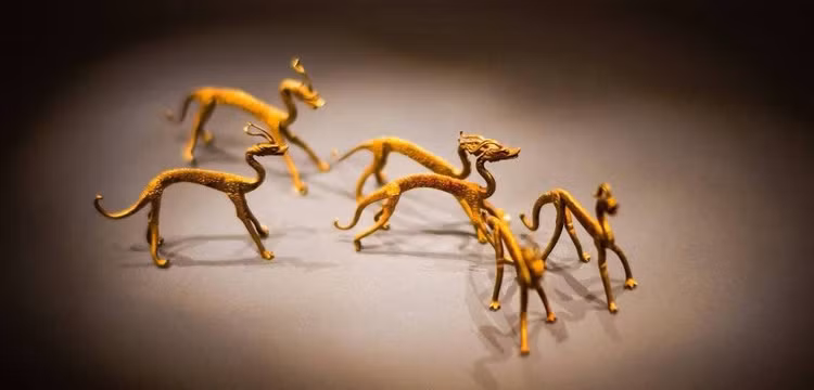 Đào đất đụng trúng kho báu, cả công trường lập tức bị phong toả - Hình 6 Dao dat dung trung kho bau, ca cong truong lap tuc bi phong toa-Hinh-6