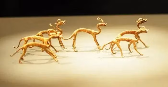 Đào đất đụng trúng kho báu, cả công trường lập tức bị phong toả - Hình 2 Dao dat dung trung kho bau, ca cong truong lap tuc bi phong toa-Hinh-2