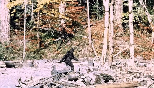 Hình ảnh mới nhất chứng minh Bigfoot hoàn toàn có thật? - Hình 3 Hinh anh moi nhat chung minh Bigfoot hoan toan co that?-Hinh-3