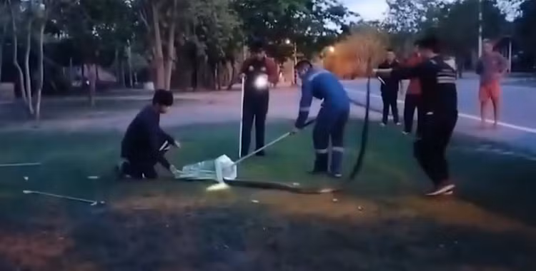 Kiểm tra xe hơi, thất kinh phát hiện 'quái thú' hoành hành - Hình 2 Kiem tra xe hoi, that kinh phat hien 'quai thu' hoanh hanh-Hinh-2