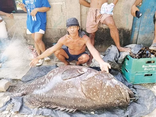 'Quai ngu' hon 130kg bat ngo lot luoi, ngu dan hot hoang