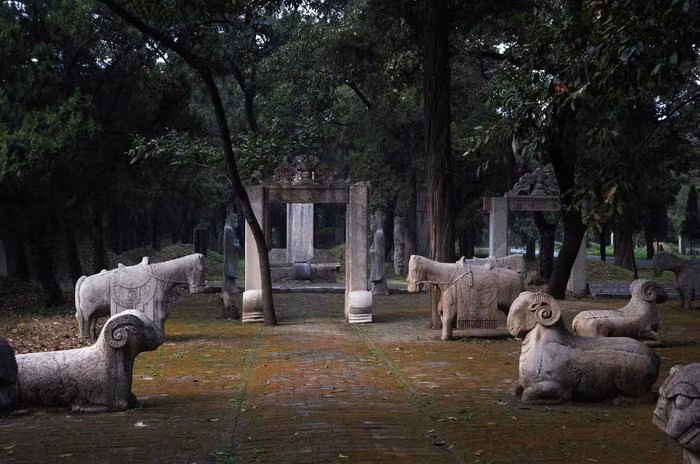 Vi sao qua khong dau, ran khong bo quanh mo Khong Tu?-Hinh-4