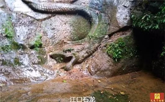 Nao vet long song, vo tinh dung trung “kho bau” khong lo ngan ty-Hinh-9