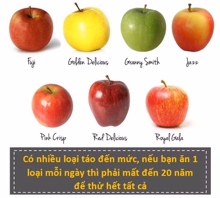 Top su that kho tin ve cuoc song, so 5 gay bat ngo-Hinh-3