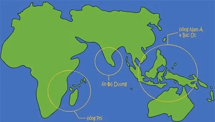 Viet Nam so huu “nang tien ca” trong truyen thuyet: Nam trong Sach Do!-Hinh-4