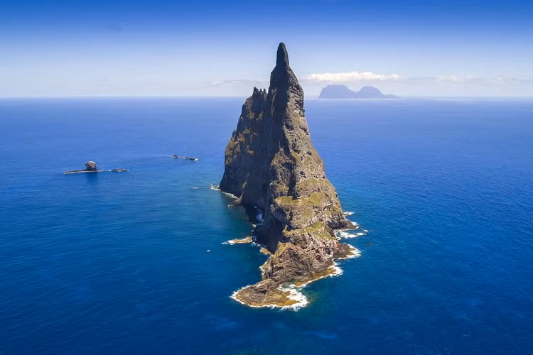 Loai vat nghi tuyet chung hon 100 nam bong “hoi sinh” ngoan muc-Hinh-3