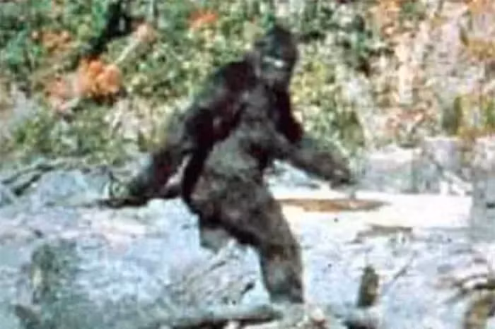 Lo hinh anh chan thuc nhat ve Bigfoot: Quai vat hoan toan co that?