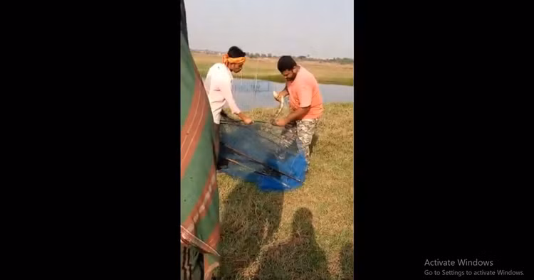 Soc khi thay 'quai thu' cuc doc mac ket trong luoi danh ca-Hinh-3