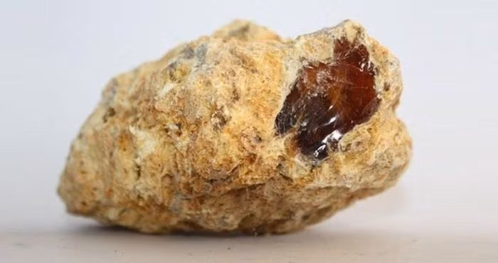 Di dao bo bien, cau be vo tinh nhat duoc “kho bau” tien ty-Hinh-2