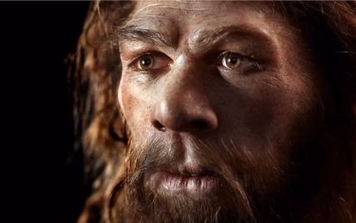 Người Neanderthal tuyệt chủng vì quan hệ tình cảm với... loài người? - Hình 4 Nguoi Neanderthal tuyet chung vi quan he tinh cam voi... loai nguoi?-Hinh-4