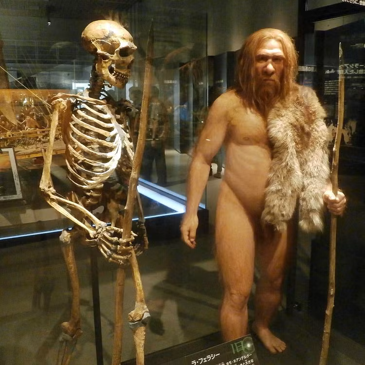 Người Neanderthal tuyệt chủng vì quan hệ tình cảm với... loài người? - Hình 11 Nguoi Neanderthal tuyet chung vi quan he tinh cam voi... loai nguoi?-Hinh-11