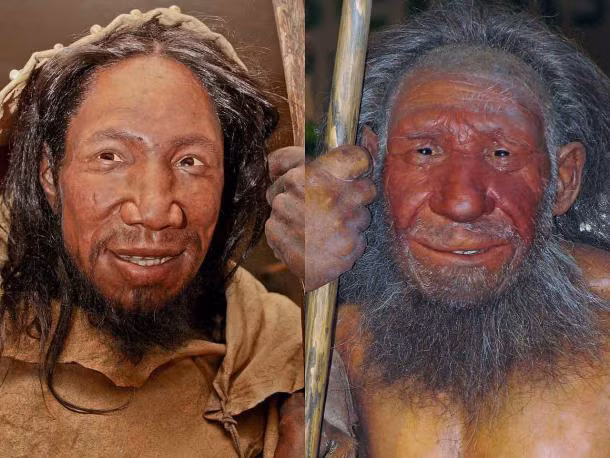 Người Neanderthal tuyệt chủng vì quan hệ tình cảm với... loài người? - Hình 7 Nguoi Neanderthal tuyet chung vi quan he tinh cam voi... loai nguoi?-Hinh-7