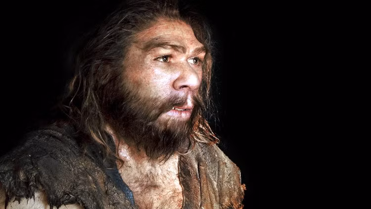 Người Neanderthal tuyệt chủng vì quan hệ tình cảm với... loài người? - Hình 9 Nguoi Neanderthal tuyet chung vi quan he tinh cam voi... loai nguoi?-Hinh-9