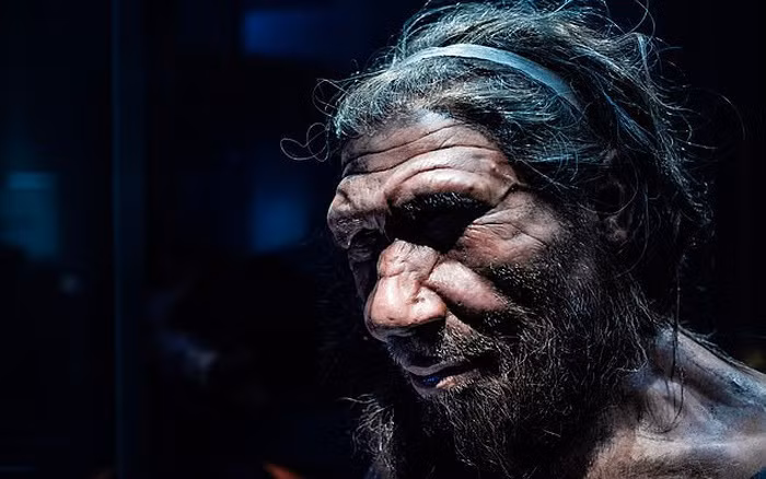 Người Neanderthal tuyệt chủng vì quan hệ tình cảm với... loài người? - Hình 6 Nguoi Neanderthal tuyet chung vi quan he tinh cam voi... loai nguoi?-Hinh-6