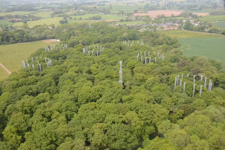 Thành Cát Tư Hãn khiến lượng carbon dioxide “khủng” biến khỏi khí quyển? - Hình 7 Thanh Cat Tu Han khien luong carbon dioxide “khung” bien khoi khi quyen?-Hinh-7