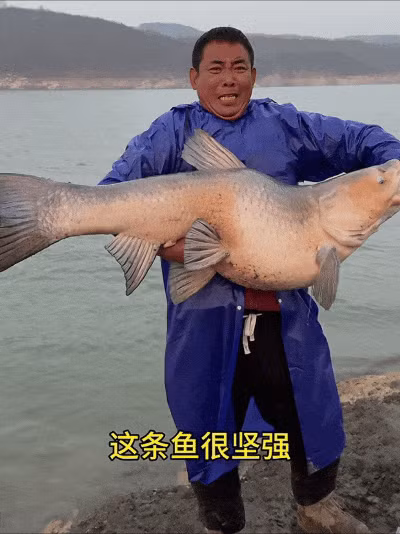 Câu được quái ngư khủng, lão nông lập tức hét lớn "Thả ngay ra!" Cau duoc quai ngu khung, lao nong lap tuc het lon