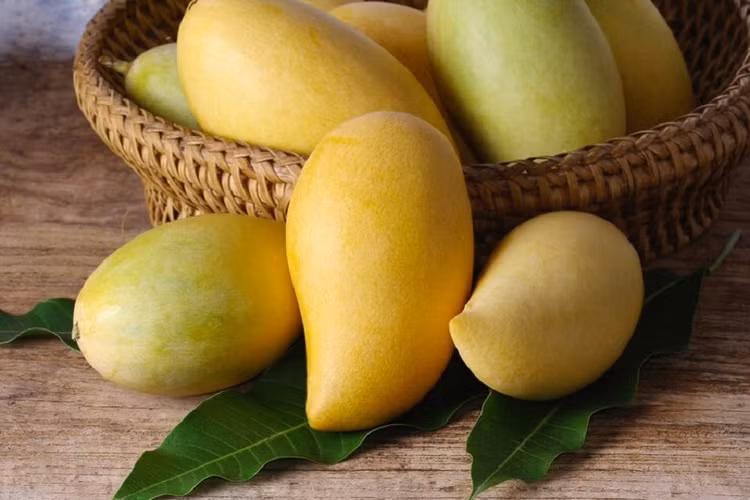 Những lợi ích tuyệt với của quả xoài đối với sức khoẻ Nhung loi ich tuyet voi cua qua xoai doi voi suc khoe