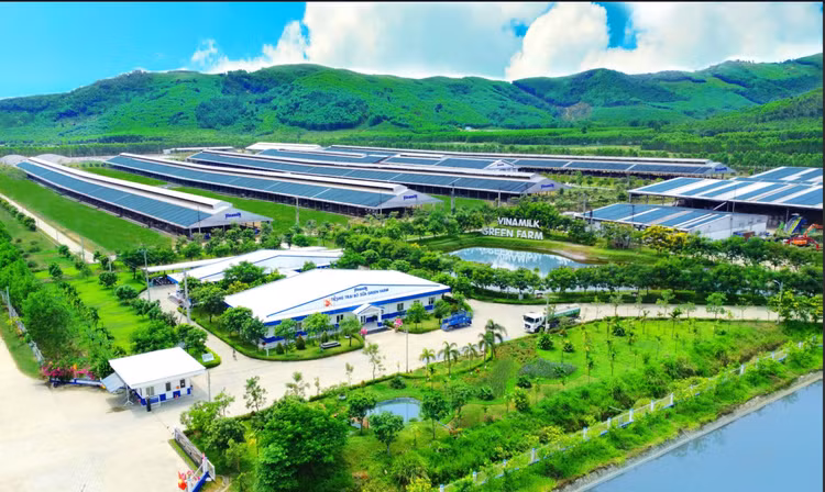 Vinamilk – thuong hieu mang dam ''ban sac'' TP.HCM trong hanh trinh 50 nam-Hinh-2