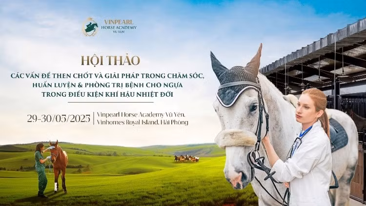 Hoc vien Cuoi Ngua Vinpearl Vu Yen to chuc Hoi thao chuyen sau