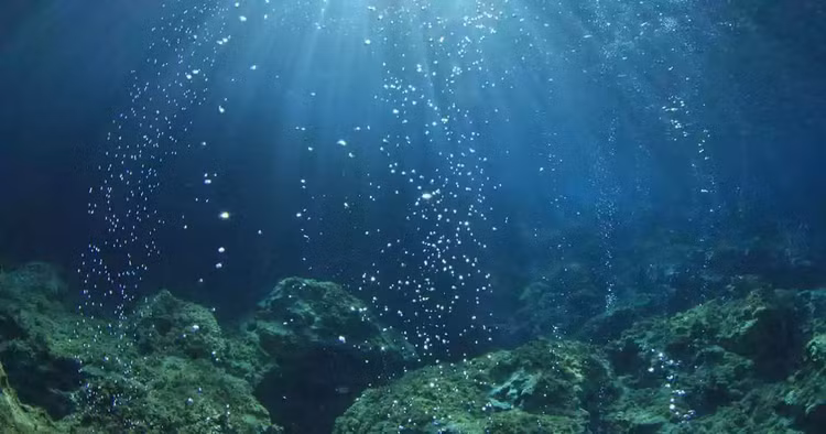 Phat hien vung phong xa di thuong duoi day dai duong, chuyen gia noi gi?