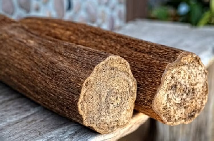 Ra khơi đánh cá, vô tình vớt được 'báu vật' hơn 3.000 tỷ đồng - Hình 12 Ra khoi danh ca, vo tinh vot duoc 'bau vat' hon 3.000 ty dong-Hinh-12