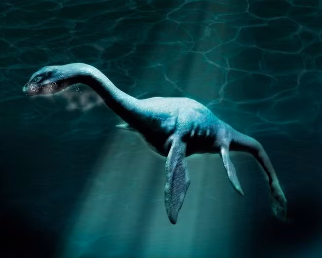 Nong: Quai vat ho Loch Ness “tai xuat”, co bang ghi hinh lai?-Hinh-10