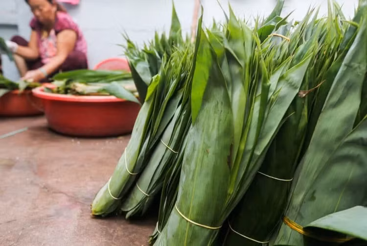 Loai la rung day o Viet Nam, ra nuoc ngoai thanh hang hot-Hinh-10