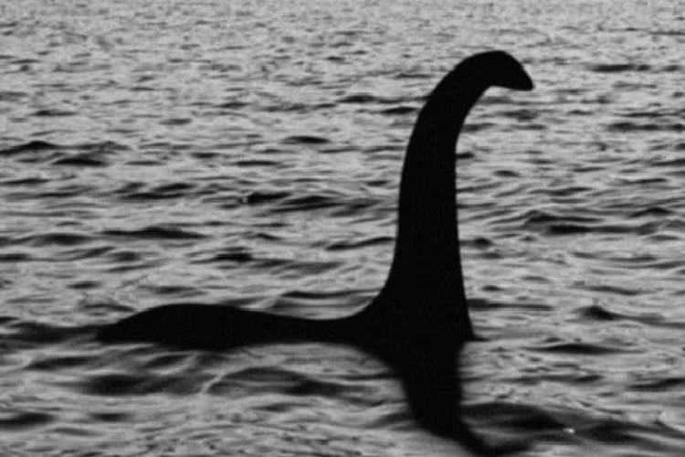 Đi dạo, rùng mình đụng trúng... “quái vật hồ Loch Ness" dạt vào bờ - Hình 2 Di dao, rung minh dung trung... “quai vat ho Loch Ness
