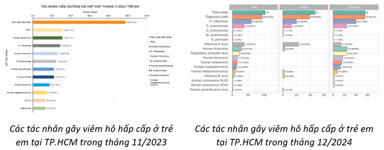 HMPV không phải là virus mới, từng được phát hiện tại TPHCM - Hình 2 HMPV khong phai la virus moi, tung duoc phat hien tai TPHCM-Hinh-2